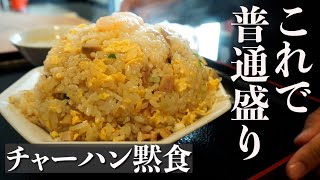 Large size Fried Rice