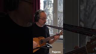 Pajaros- Gustavo Santaolalla (Ronroco Cover) #charango #ronroco