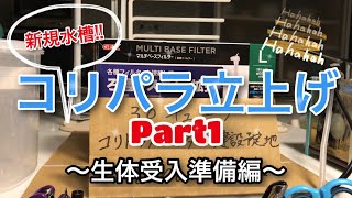 【新規水槽!!】コリパラ立上げPart1～生体受入準備編～(#コリドラスパラダイス #コリドラスパンダ #アクアリウム #熱帯魚 #charm)