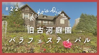 【バラフェスティバル】北区🌹旧古河庭園を散歩