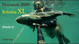 Pescasub 2020 - Robalos XL (Parte 2)