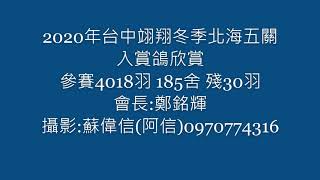 2020年台中翊翔冬季北海五關入賞鴿欣賞