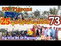 Big Win By 48 Pigeons | Dilshad Group Winner | 500 pigeon competition