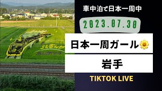 7/30【日本一周】岩手県盛岡市の田んぼアート配信