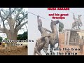 I USED HORSE TO CLIMB TREE AND REINCARNATE AS NANA ASAASE