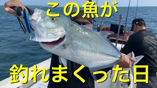 【64】石垣島の海でのんびり釣りしてたらでかい魚が連発しました