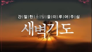 김천서문교회 2025년 1월 28일 (화) 새벽기도회 (디모데전서 6장 1~2절)