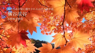 25OCT2020 横谷渓谷(横谷峡) 長野県茅野市/Yokoya Valley, Chino city, Nagano Pref.