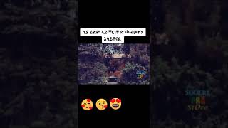 🔴ኪያ ፊልም ላይ ቸርነት ድንቅ ብቃቱን አሳይቶናል Ethiopian new movie SUBSCRIBE አድርጉኝ ለኔ በጣም አስፈላጊስለሆነ ነው #shorts