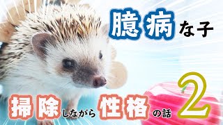 臆病な子との接し方―ハリネズミのケージを掃除しながら性格の話2