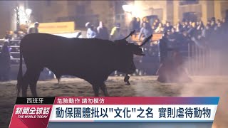 西班牙「火牛節」燒牛角 動保團體批虐待動物｜20221114 公視新聞全球話