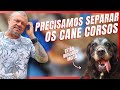 SEPARANDO OS CANE CORSO DA CASA DOS BICHOS!