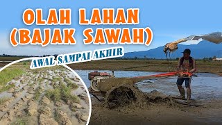 Proses Lengkap Bajak Sawah dari Awal Sampai Akhir