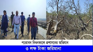 মহেশখালীতে প্যারাবন নিধনকালে প্রশাসনের অভিযান, ৩ লক্ষ টাকা জরিমানা | Cplus