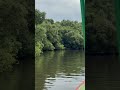 Mangrove forest 🌳 #youtubeshorts #shorts #mangroveforest #nature #travel #explore #beauty #peace