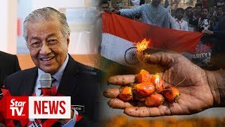 [14/01/20] India palm oil row: Boycott or not, we must speak up, says Dr M