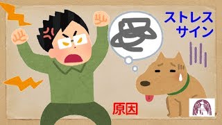 犬のストレスのサイン（症状・病気）や原因～食欲不振,軟便,下痢,血便,吐く,胃腸炎,噛む,吠える,脱毛,なめる,耳をかく,など【大阪堺の統合医療動物病院‐キキ動物病院】