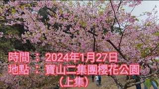 2024/1/27   寶山二集團櫻花公園Erjituan Baoshan Sakura Park（ 桃源區寶山里藤枝林道16.5K處)（上集）