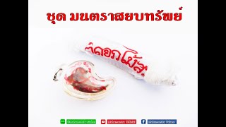 ชุด มนตราสยบทรัพย์