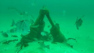 Scouting Artificial Reefs with Trident ROV - Pensacola Fishing