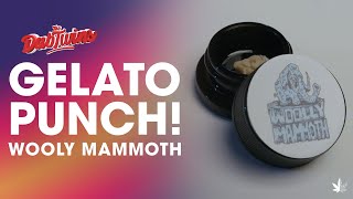 Gelato Punch! (Woolly Mammoth)