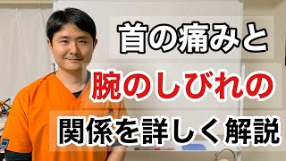 首の痛みと腕のしびれの関係を詳しく解説します【府中　首の痛み　腕のしびれ】