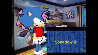 LETS GO SONIC JR X SHADOW JR MEME (let’s go SpongeBob meme)