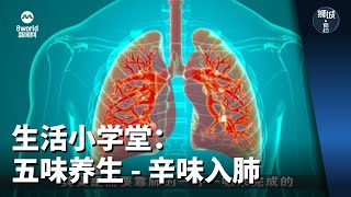 狮城有约 | 生活小学堂：五味养生 - 辛味入肺