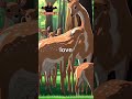 bambi golden globe special achievement award 1948 shorts youtube anime trending movie review