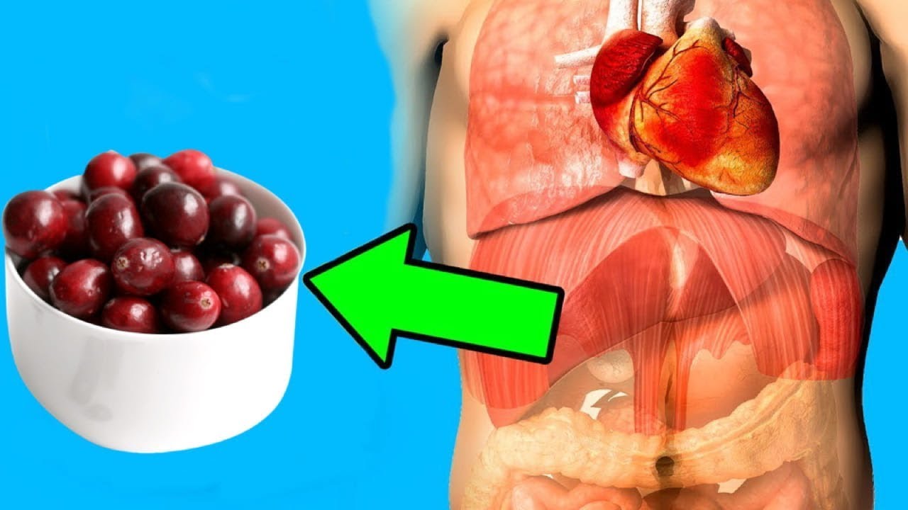 See What Happens To Your Body When You Have A Cup Of Cranberries - YouTube