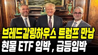 브래드갈링하우스 트럼프 미팅 , 현물 ETF , 급등 임박 #xrp