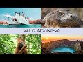 WILD INDONESIA 2019