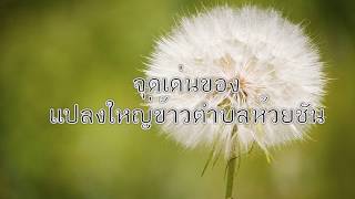 โครงการระบบส่งเสริมการเกษตรแบบแปลงใหญ่ (แปลงใหญ่ข้าวตำบลห้วยชัน)