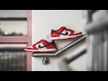 Nike SB Dunk Low Pro 