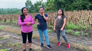 Madrugamos para hacer nuestra rutina de ejercicio 🏋️‍♀️🏃‍♀️