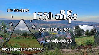 ID YS 61472 ယူထားမမှားသလို သာသာယာယာရှိပြီး စိတ်တိုင်းကျစေမယ့်ခြံကွက်  #ကလောမြို့