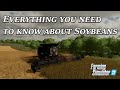 Everything you need to know about Soybeans in Farming Simulator 22