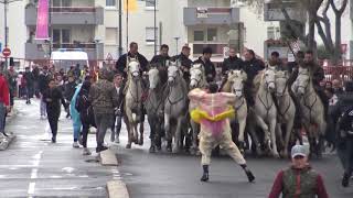 MAUGUIO LE  24 03 2018 ABRIVADO  BANDIDO  MANADE  LAFON  AURORE ET VELLAS