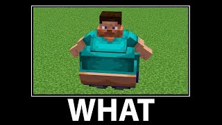 Minecraft Wait What - All Series #2
