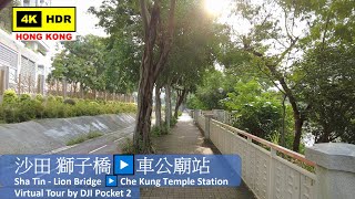 【HK 4K】沙田 獅子橋▶️車公廟站 | Sha Tin - Lion Bridge ▶️ Che Kung Temple Station | DJI Pocket 2 | 2021.10.01