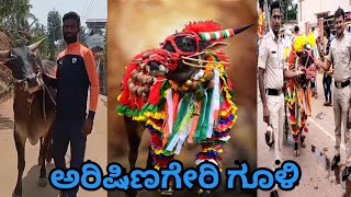 arishinageri gooli top action bull arishinageri gooli shikaripura