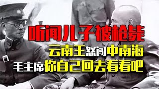 听闻儿子被枪毙，云南王怒闯中南海，毛主席,你自己回去看看吧