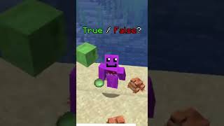 Frogs in Minecraft are CRAZY! (2 Truths 1 Lie)