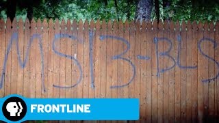 FRONTLINE | Inside Look: The Gang Crackdown | PBS