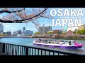 【4K】桜ノ宮公園ウォーキングツアー | 大阪 2023