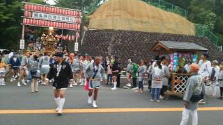 綱島諏訪神社 夏祭り 神輿