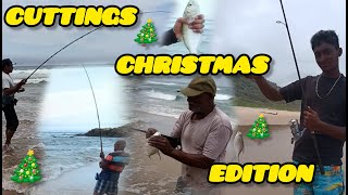 🎄Cuttings Christmas Edition🎄