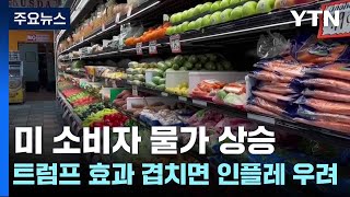 미 소비자 물가 상승...트럼프 효과 겹치면 인플레이션 우려 고조 / YTN