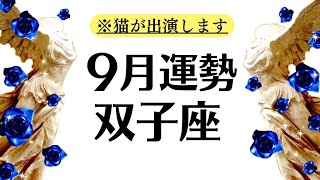 双子座♊️大どんでん返し！！！これまでの痛みも悔しさも全部バネにして成功と勝利を掴む９月全体運勢♊️仕事恋愛対人不安解消【個人鑑定級タロットヒーリング】