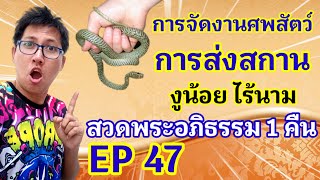 ครูกุ๊กพาจัดงานศพสัตว์ EP 47 การส่งสกานสวดพระอภิธรรม1 คืน ศพ งูน้อย ไร้นาม ฉากใหม่ไฉไลกว่าเดิม